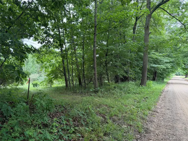 0 Stanton Lake Rd, Arcadia, MI 48412