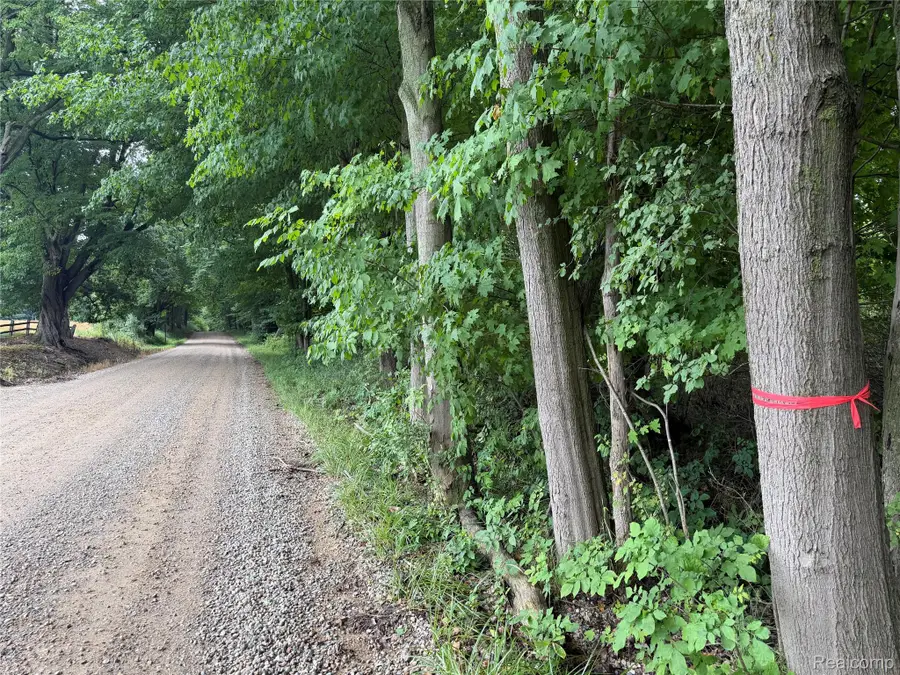 0 Stanton Lake Rd, Arcadia, MI 48412 - #2