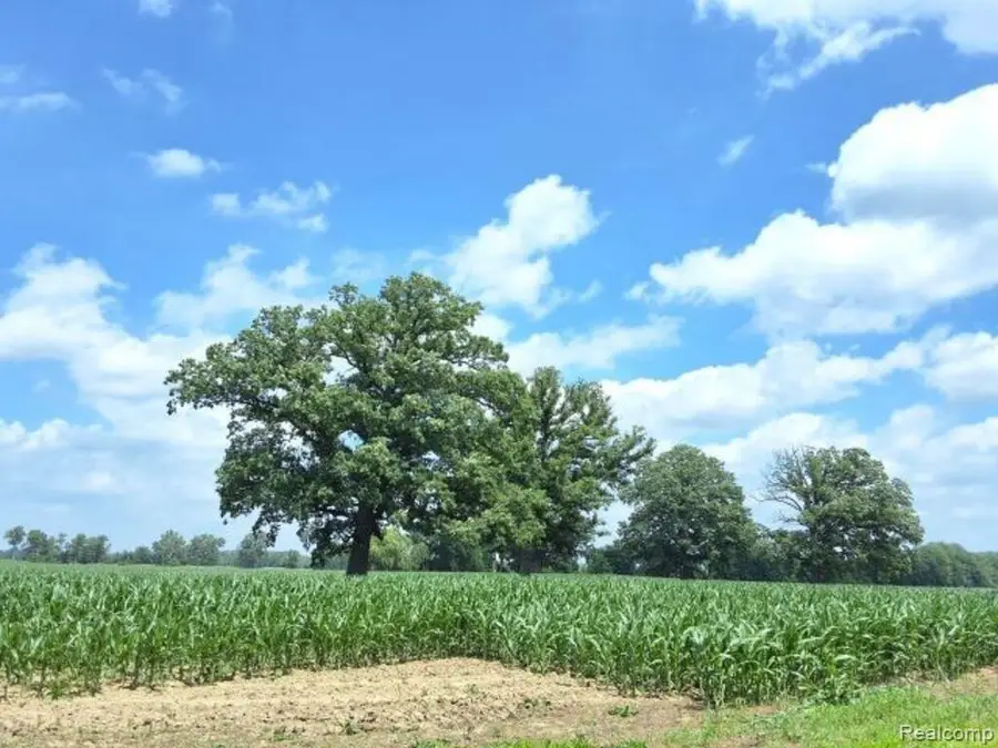AUCTION Lot #3 10 acres Dryden Road, Capac, MI 48041 - #2