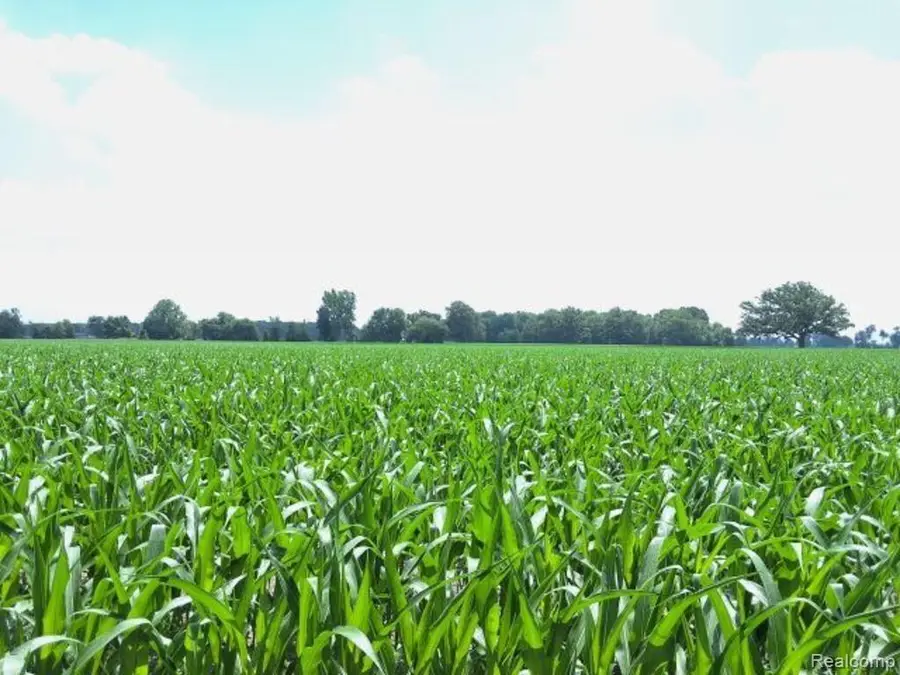 AUCTION Lot #3 10 acres Dryden Road, Capac, MI 48041 - #3
