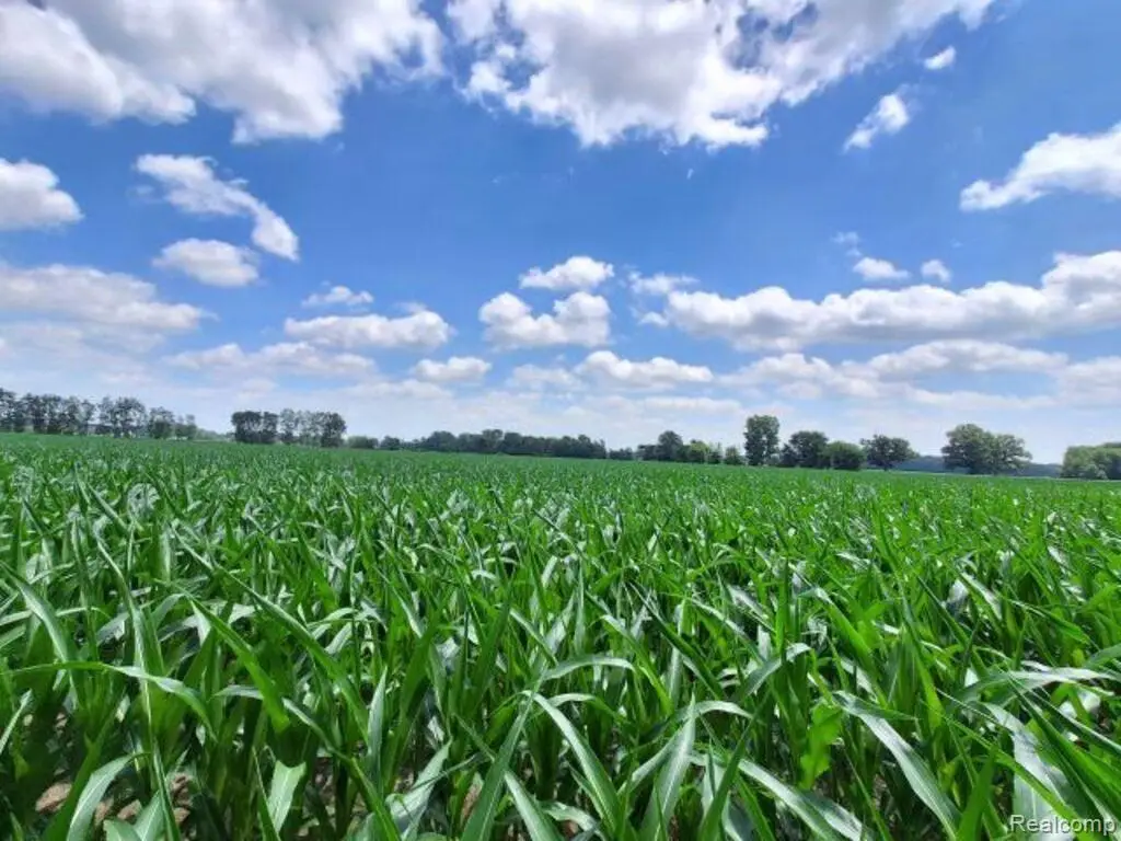 AUCTION Lot #6 10 acres Capac Road, Capac, MI 48014 - #1