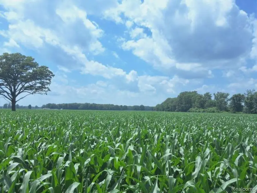 AUCTION Lot #6 10 acres Capac Road, Capac, MI 48014 - #3