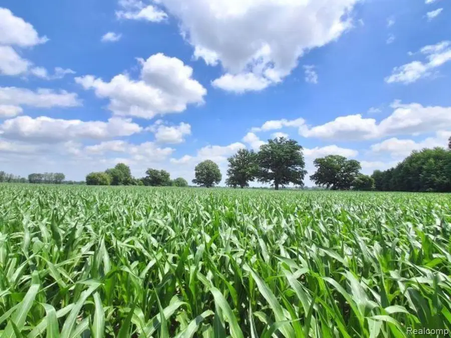 AUCTION Lot 94 acres Capac Road, Capac, MI 48014 - #2