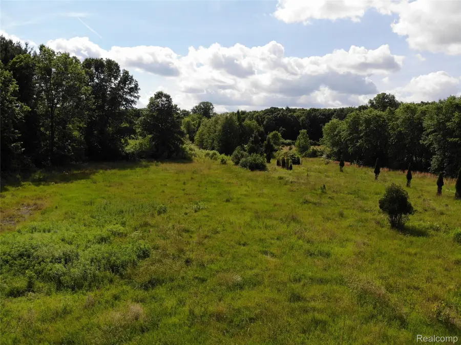 20918 Clark Road, Belleville, MI 48111 - #2