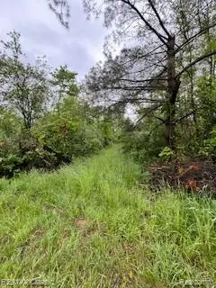 22575 12 Mile Road, Pennfield, MI 49014 - #2