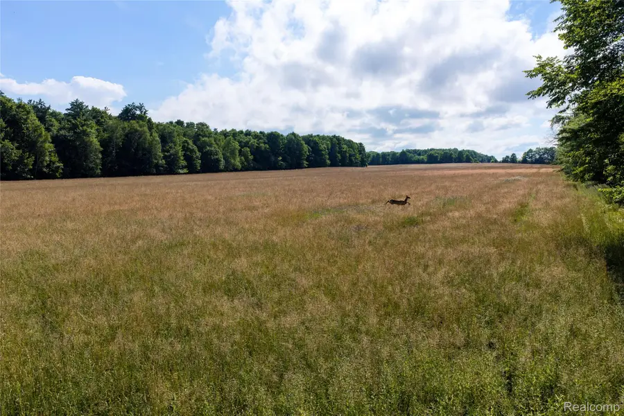 000 Harrington, Croswell, MI 48422 - #2