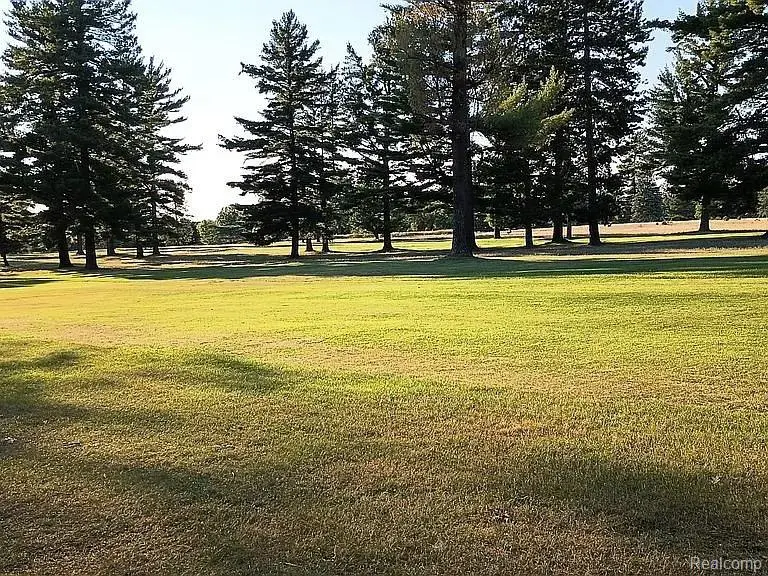 2440 W Nestel Road, Denton, MI 48651 - #2