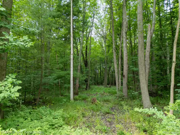 V/L Rabidue Road, NorthStreet, MI 48049