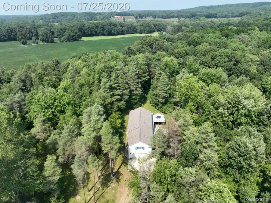 10201 Washburn Road, Goodrich, MI 48438 - #3