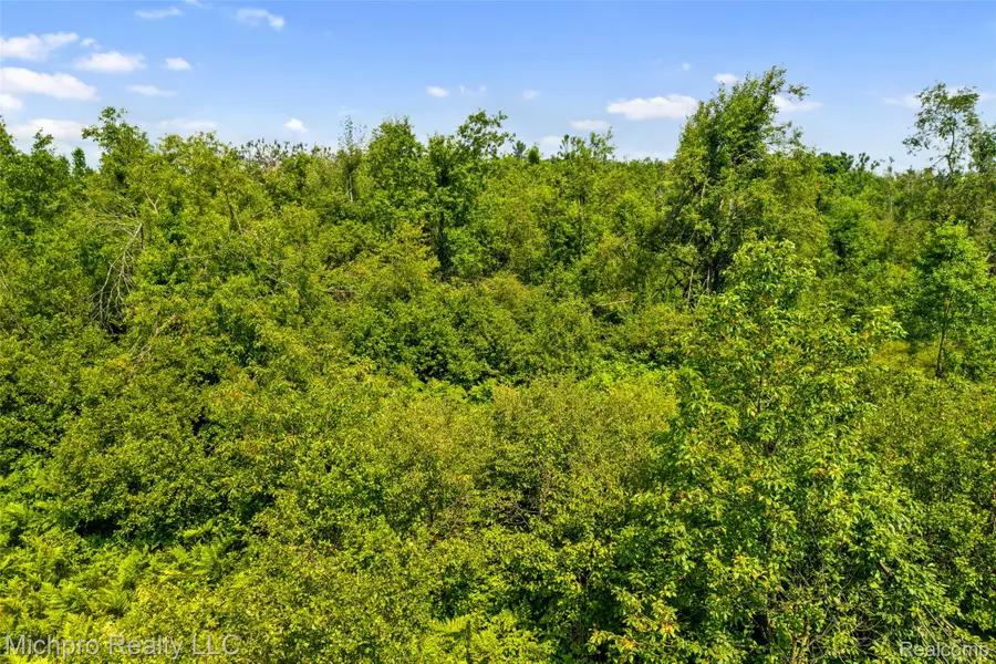 VL Mckee Road, Johannesburg, MI 49751 - #3