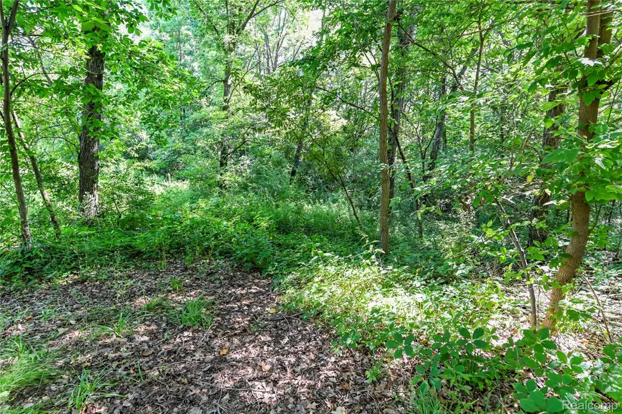 000 Holdridge Rd, Holly, MI 48462 - #2