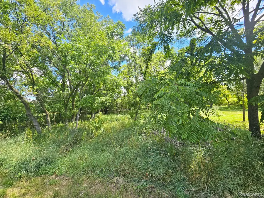 O Byron Road, Fowlerville, MI 48836 - #3