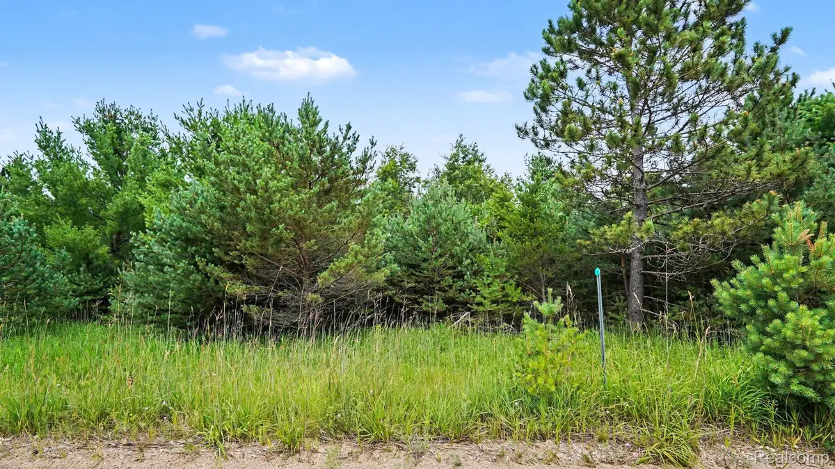 000 Fletcher Road, Roscommon, MI 48653 - #1