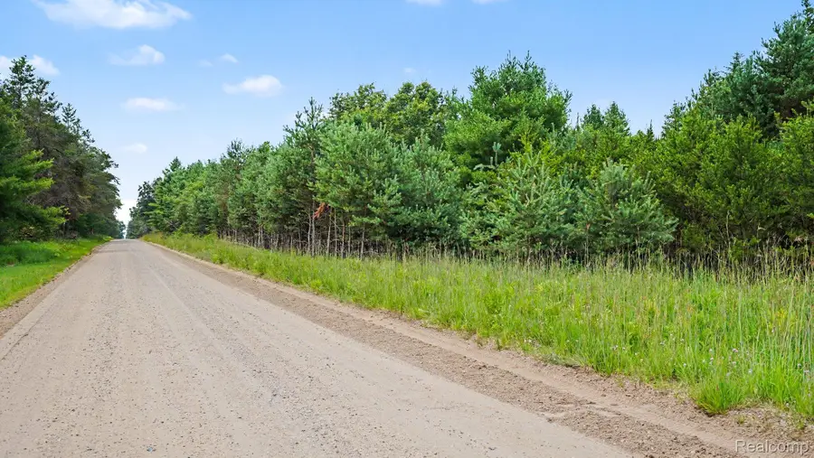 000 Fletcher Road, Roscommon, MI 48653 - #3