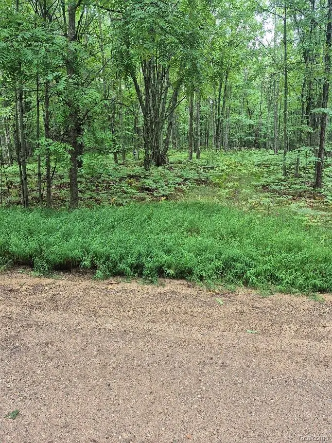 162 (Lot 32) West Ridge Circle, Leroy, MI 49655 - #1