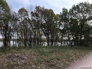11699 Big Lake Road, Davisburg, MI 48350