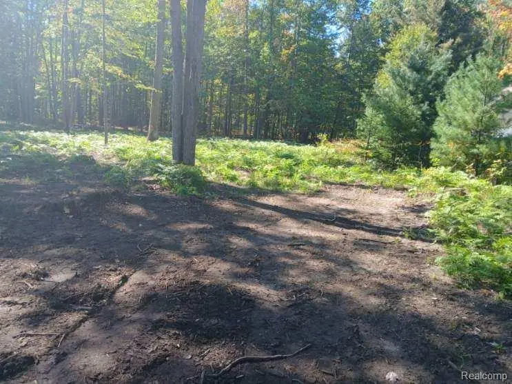 0 Goldenrod Dr, Houghton Lake, MI 48629 - #1