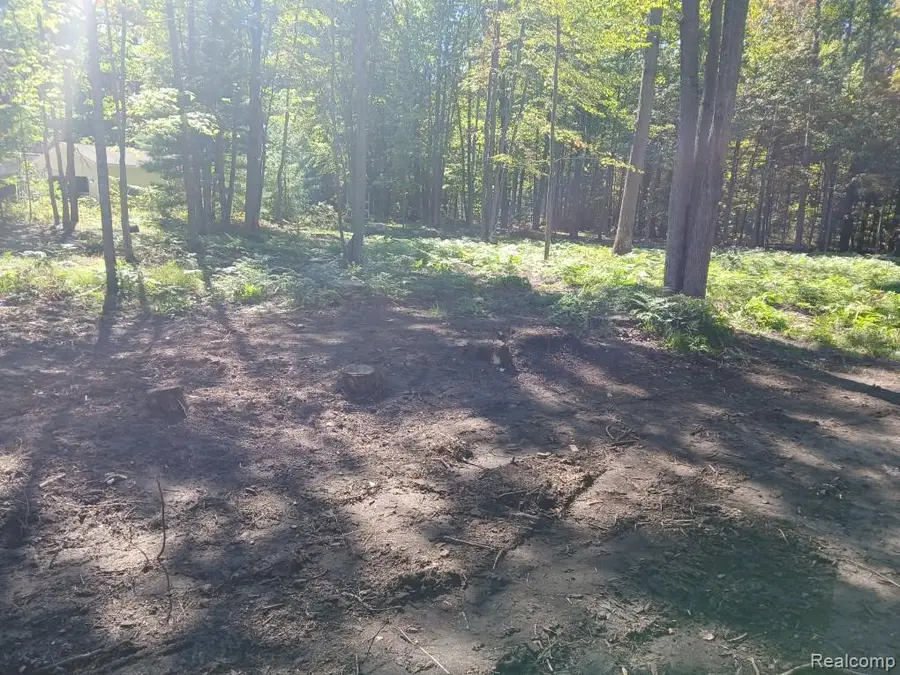 0 Goldenrod Dr, Houghton Lake, MI 48629 - #2