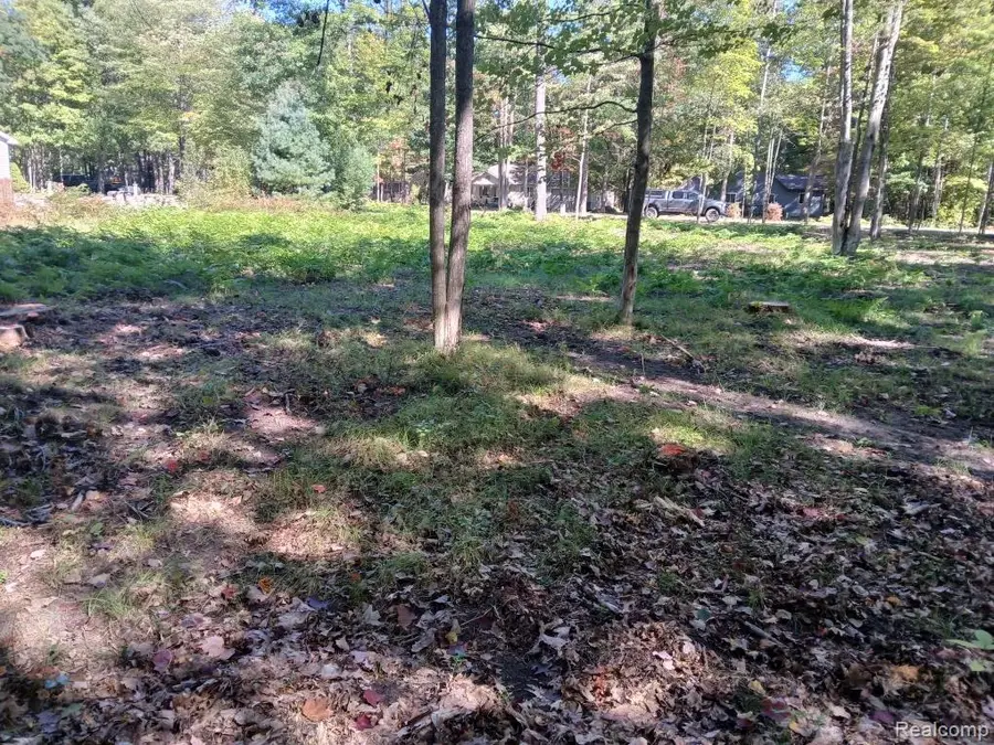 0 Goldenrod Dr, Houghton Lake, MI 48629 - #3