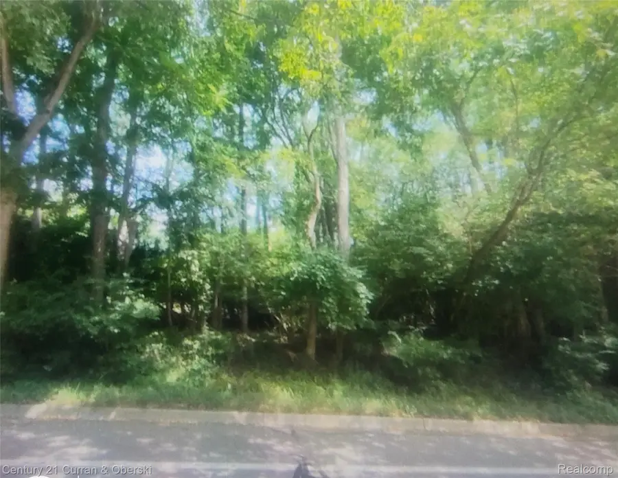 1948 N Huron River Drive Drive, Ypsilanti, MI 48197 - #2