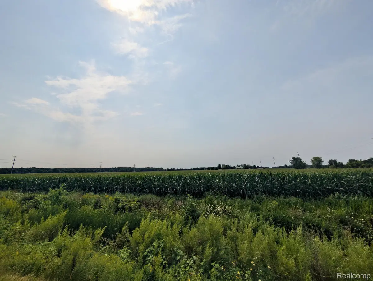 0 Brown Road, Greenwood, MI 48006 - #1
