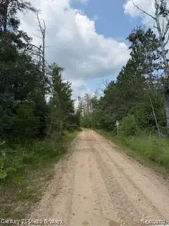 0000 Winding Rd Road, Lewiston, MI 49756 - #1