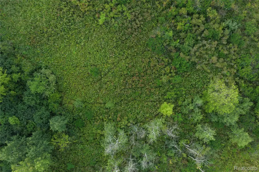 000 Harr Road, Chelsea, MI 48118 - #2