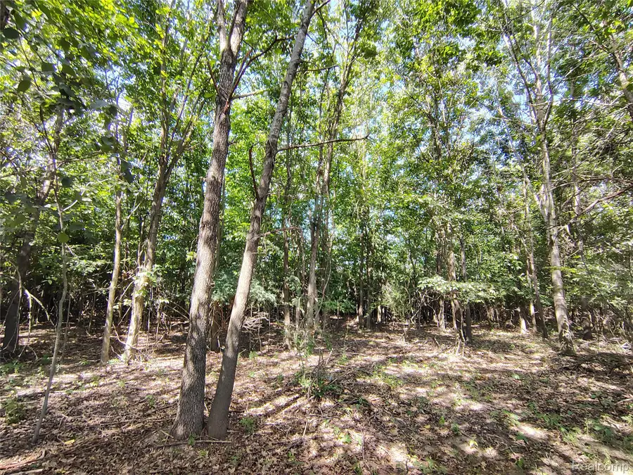Parcel D Brigham Road, Goodrich, MI 48438 - #3