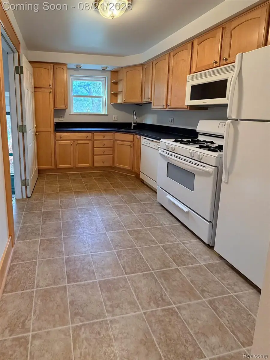 1261 S Birch Street, Dearborn, MI 48124 - #3