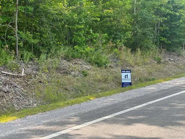 0 Us Hwy 23, PresqueIsle, MI 49777