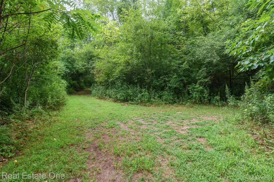 42575 Judd Road, Belleville, MI 48111 - #3