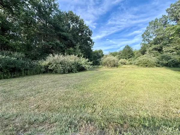 00 Wayne, Romulus, MI 48174