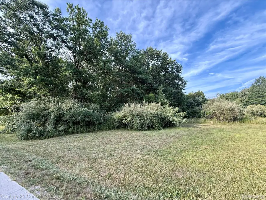 01 Wayne Rd Wayne, Romulus, MI 48174 - #3