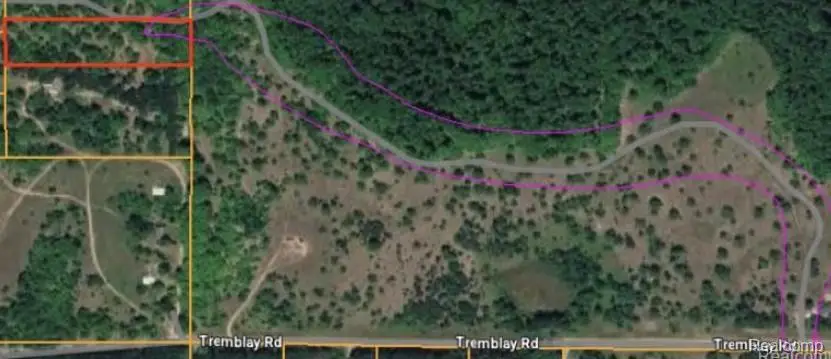 V/L Tremblay Road, Mancelona, MI 49659 - #2