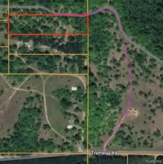 V/L Tremblay Road, Mancelona, MI 49659 - #3