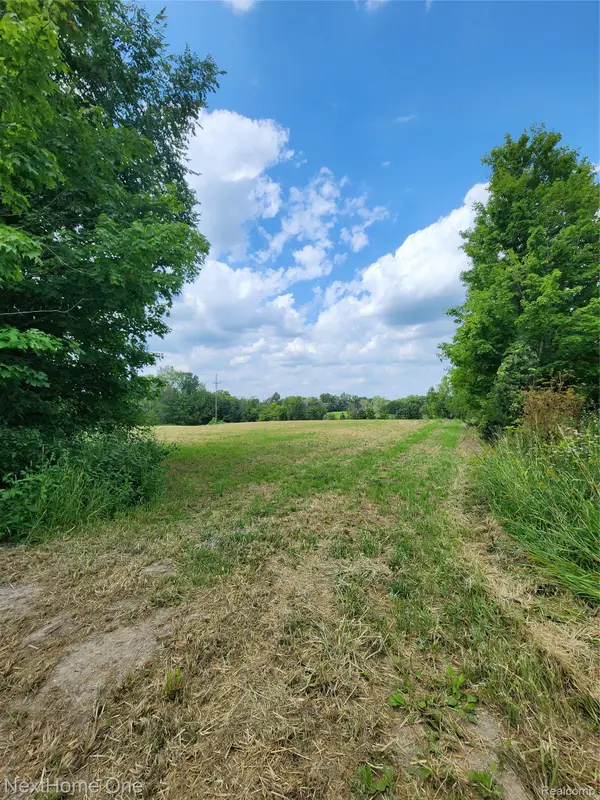 00 Musson Road, Howell, MI 48855