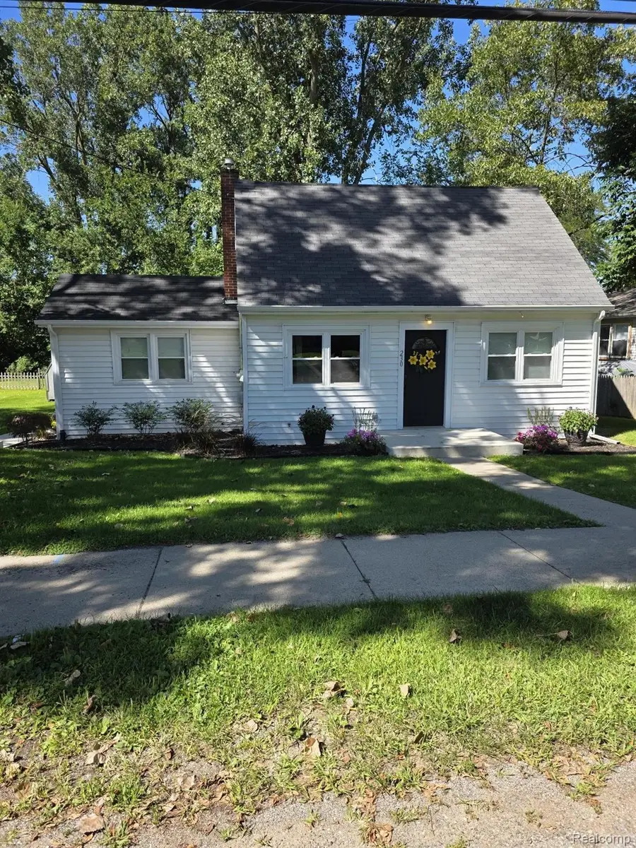 230 Water Street, Grass Lake, MI 49240 - #2