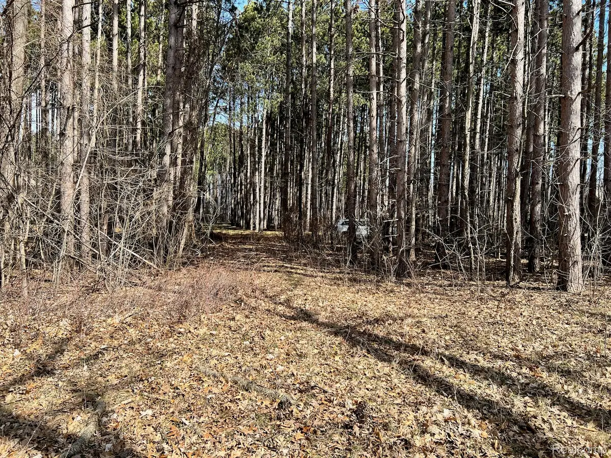 9047 Pineview River Drive, Linden, MI 48451 - #1