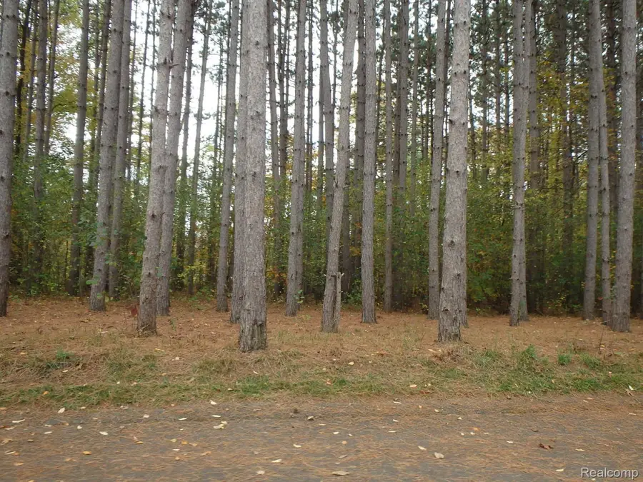9047 Pineview River Drive, Linden, MI 48451 - #2