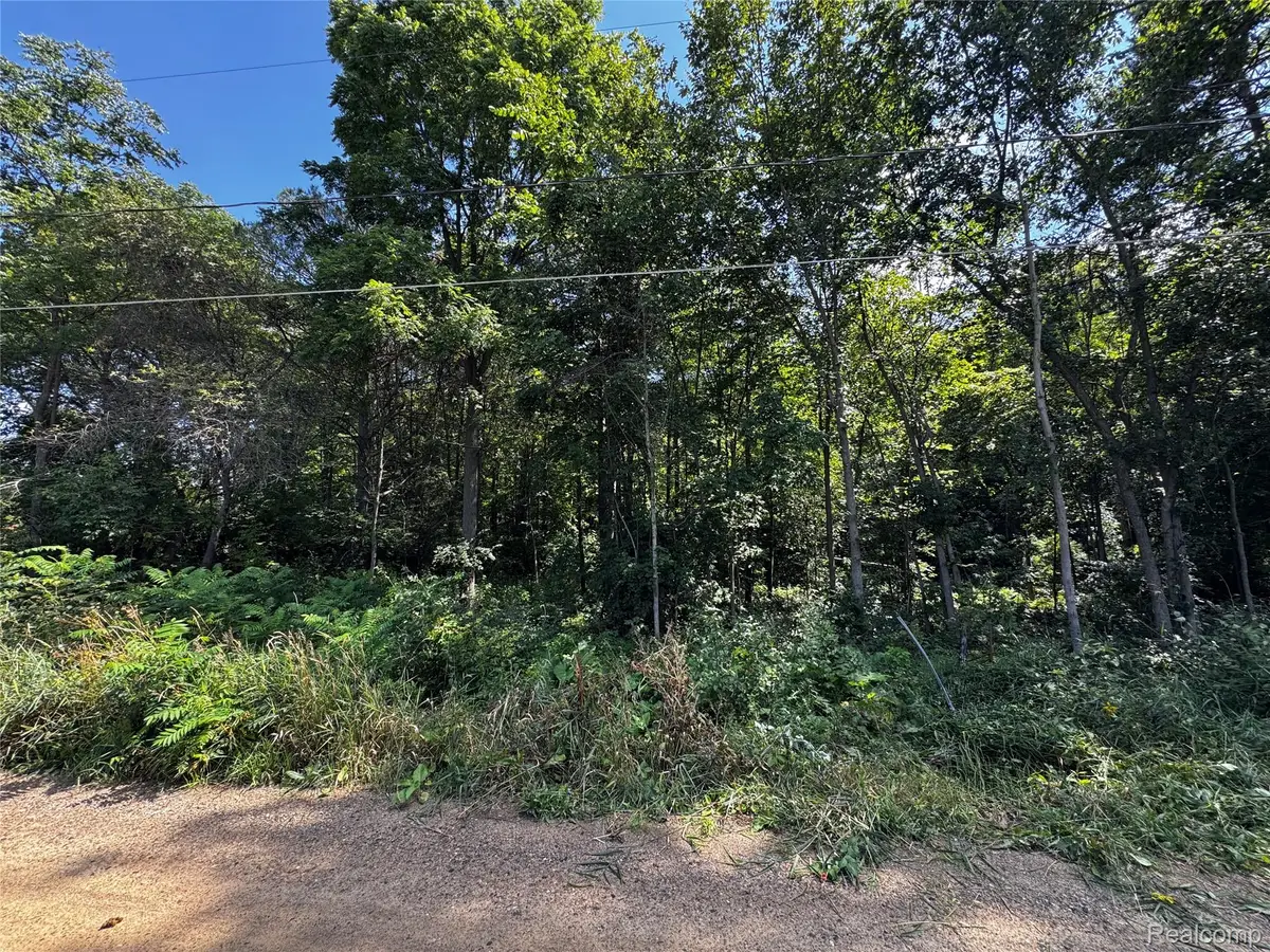 12195 Softwater Lake Dr, Linden, MI 48451 - #1