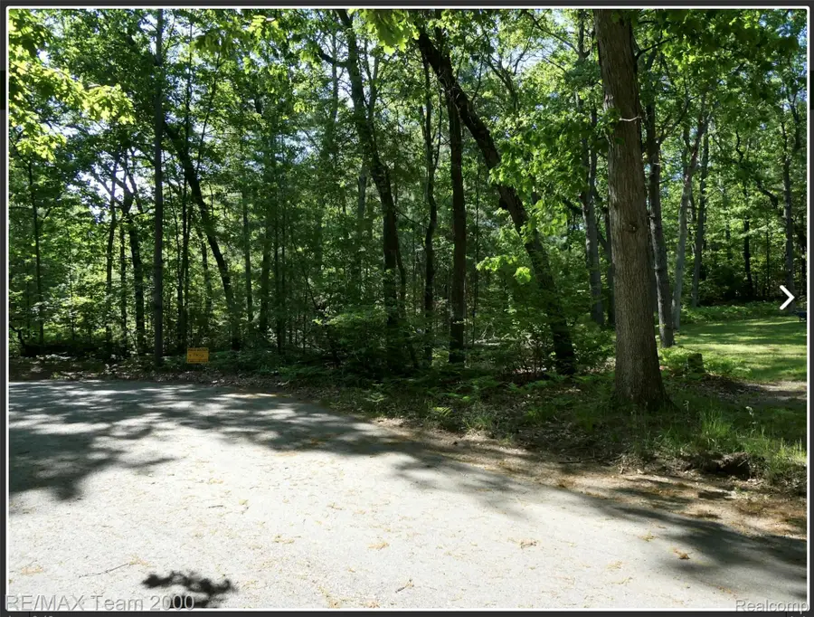 BUNNY RUN VACANT HOUGHTON Bunny Run, Denton, MI 48629 - #3