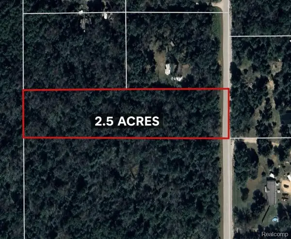 V/L King Hwy, Luther, MI 49656