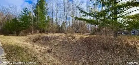 187 Greensboro Way, Gladwin, MI 48624 - #1