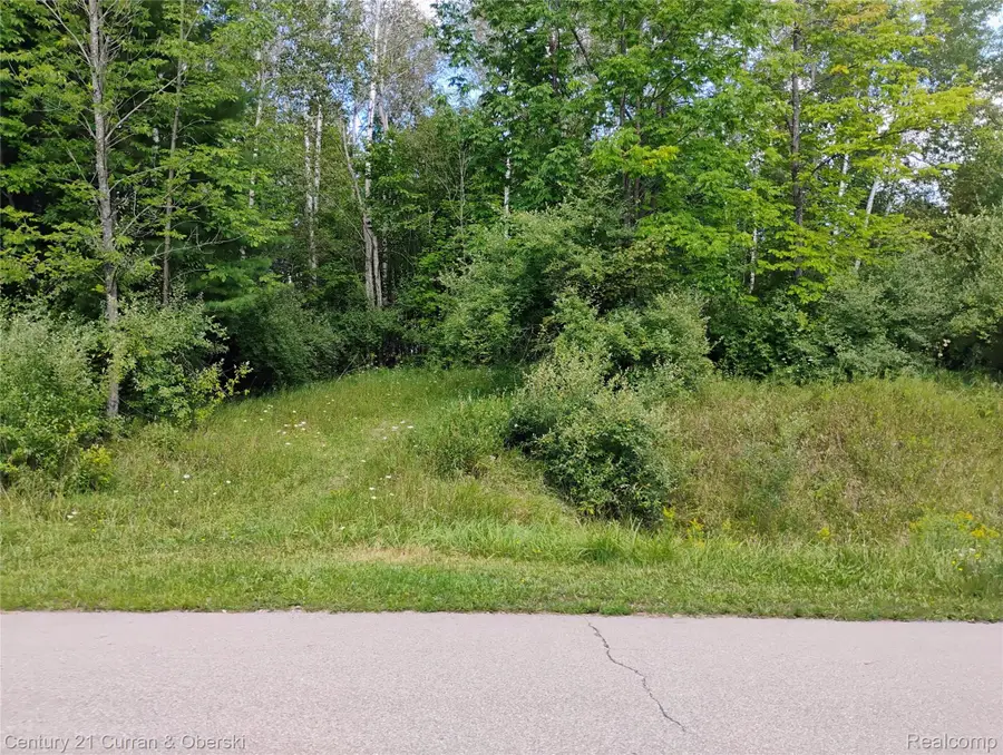 187 Greensboro Way, Gladwin, MI 48624 - #3