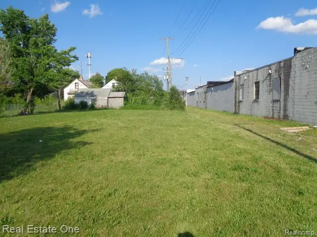 11630 Dwyer Street, Hamtramck, MI 48212 - #2