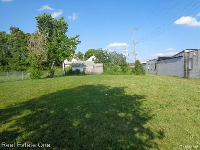 11630 Dwyer Street, Hamtramck, MI 48212 - #3