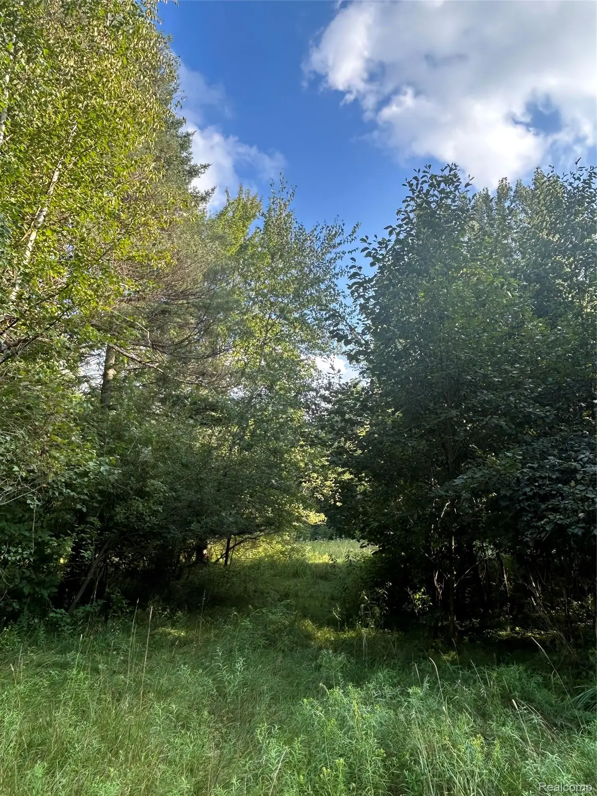 V/L Frankford Road, Caro, MI 48723 - #1