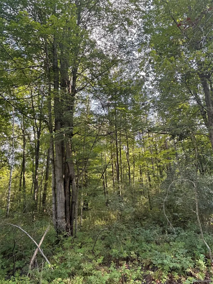 V/L Frankford Road, Caro, MI 48723 - #3