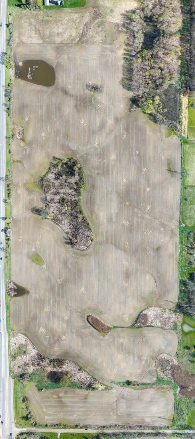 Lot 3 Lapeer Road, Metamora, MI 48371 - #2