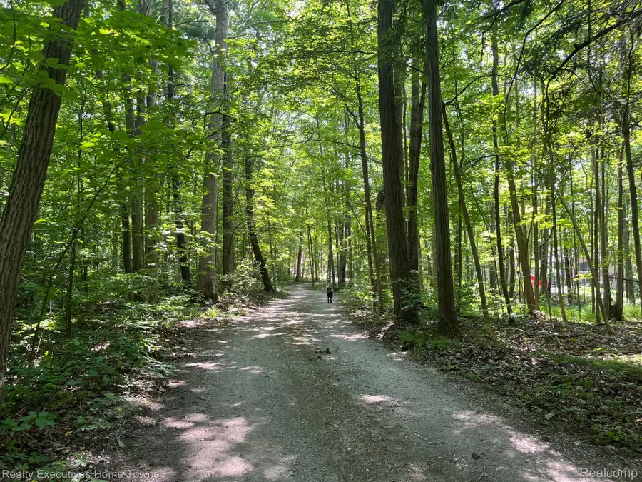 5665 Logging Lane Lane, Clyde, MI 48049 - #3